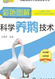 快穿我的男配大人