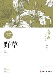 魔魂之大陆