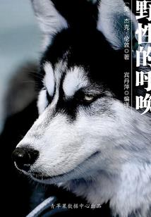裂缝之谜