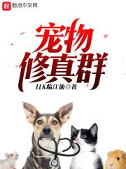 老头分家
