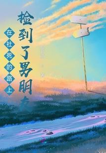 宝可梦之冠军之上
