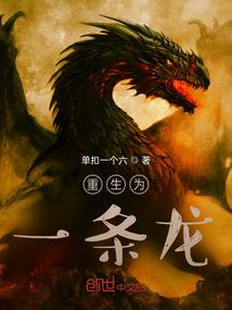 计划乾坤