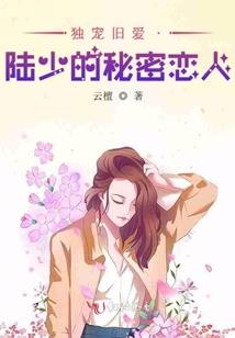 私人订制帝少的天价小娇妻