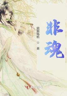 海贼王之森