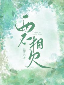 悯生记之乱世风云