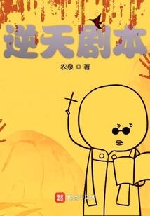 我的军长大人