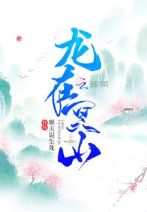 妖孽王爷的天才公主