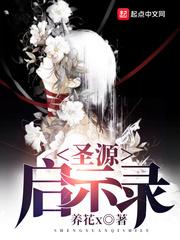 异界入侵之九城风云