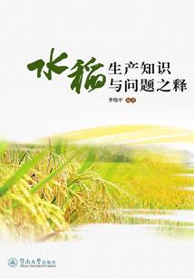 夏夜有星宸