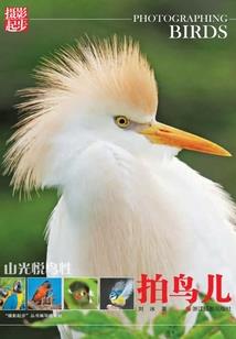 女装直播之女神降临