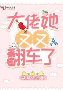 数码宝贝lor
