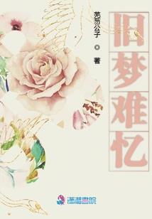 银之中华守护者