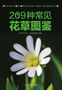 剑歌，大灾变