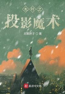 爱上熊的猫