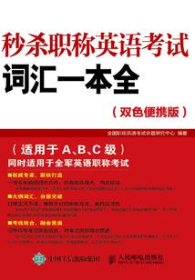 梅林十七号