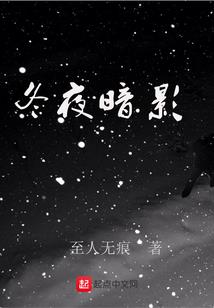 星芒大陆之医者杀手